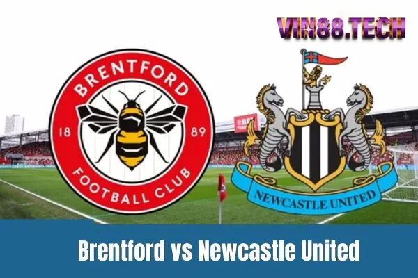 Brentford vs Newcastle United