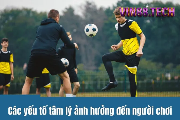 Cá cược thể thao và tâm lý: Làm sao để giữ bình tĩnh khi chơi