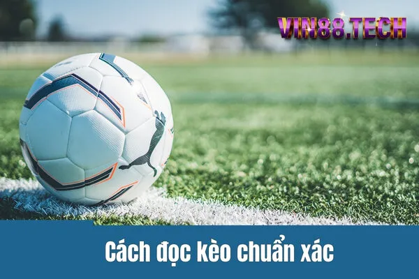 Cách đọc kèo chuẩn xác - Các loại kèo bóng đá