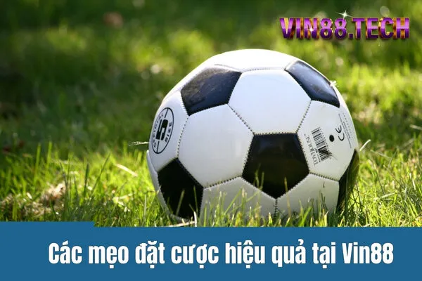 Các mẹo đặt cược hiệu quả tại Vin88