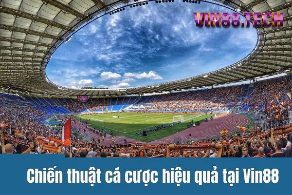 Chiến thuật cá cược hiệu quả tại Vin88