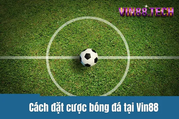 Cách đặt cược bóng đá tại Vin88