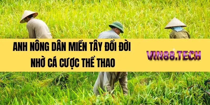 Anh nông dân miền Tây đổi đời nhờ cá cược thể thao