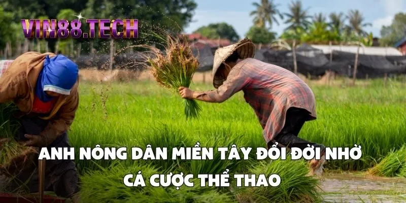 Anh nông dân miền Tây đổi đời nhờ cá cược thể thao
